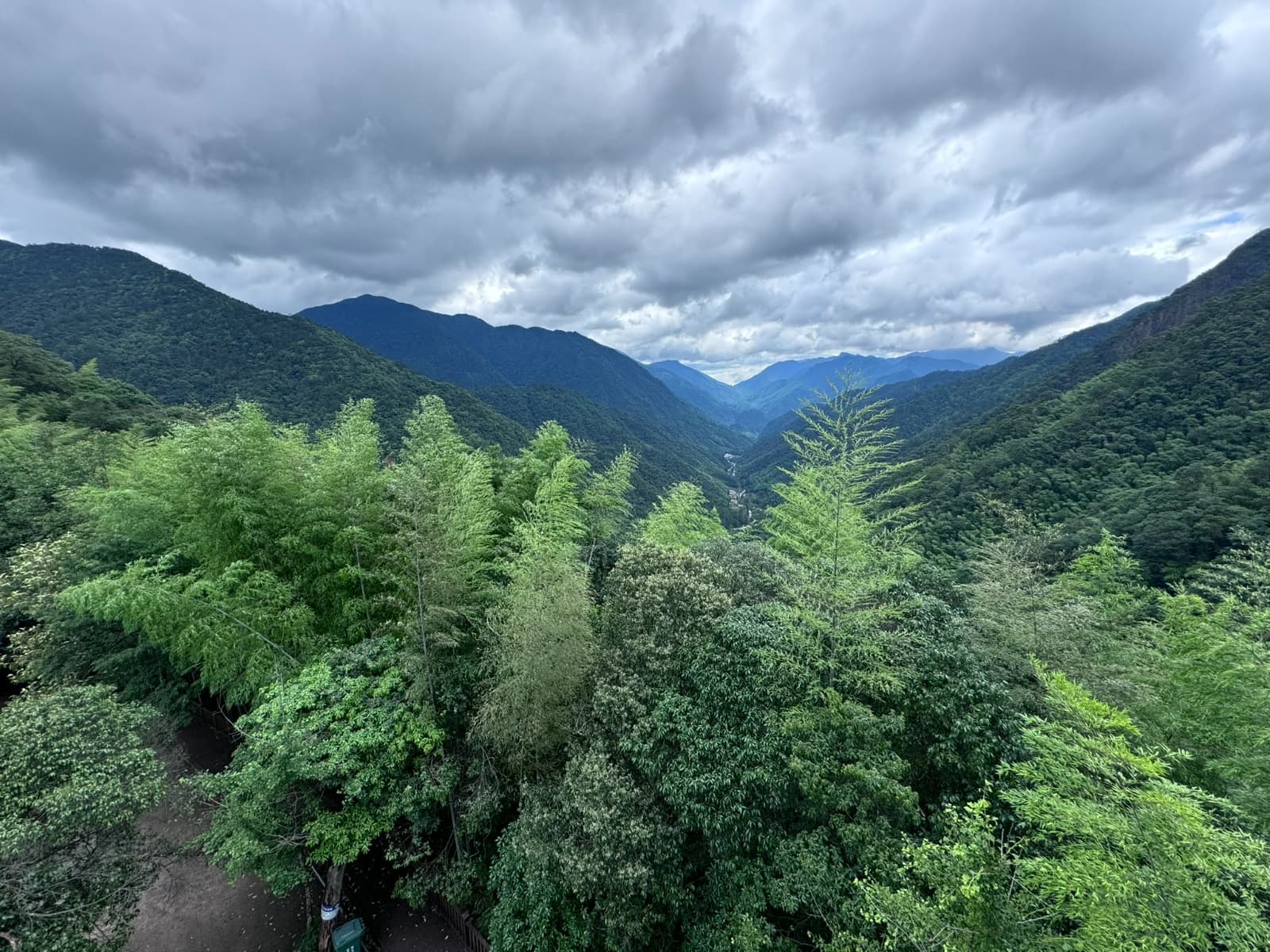 Lesy provincie Fujian