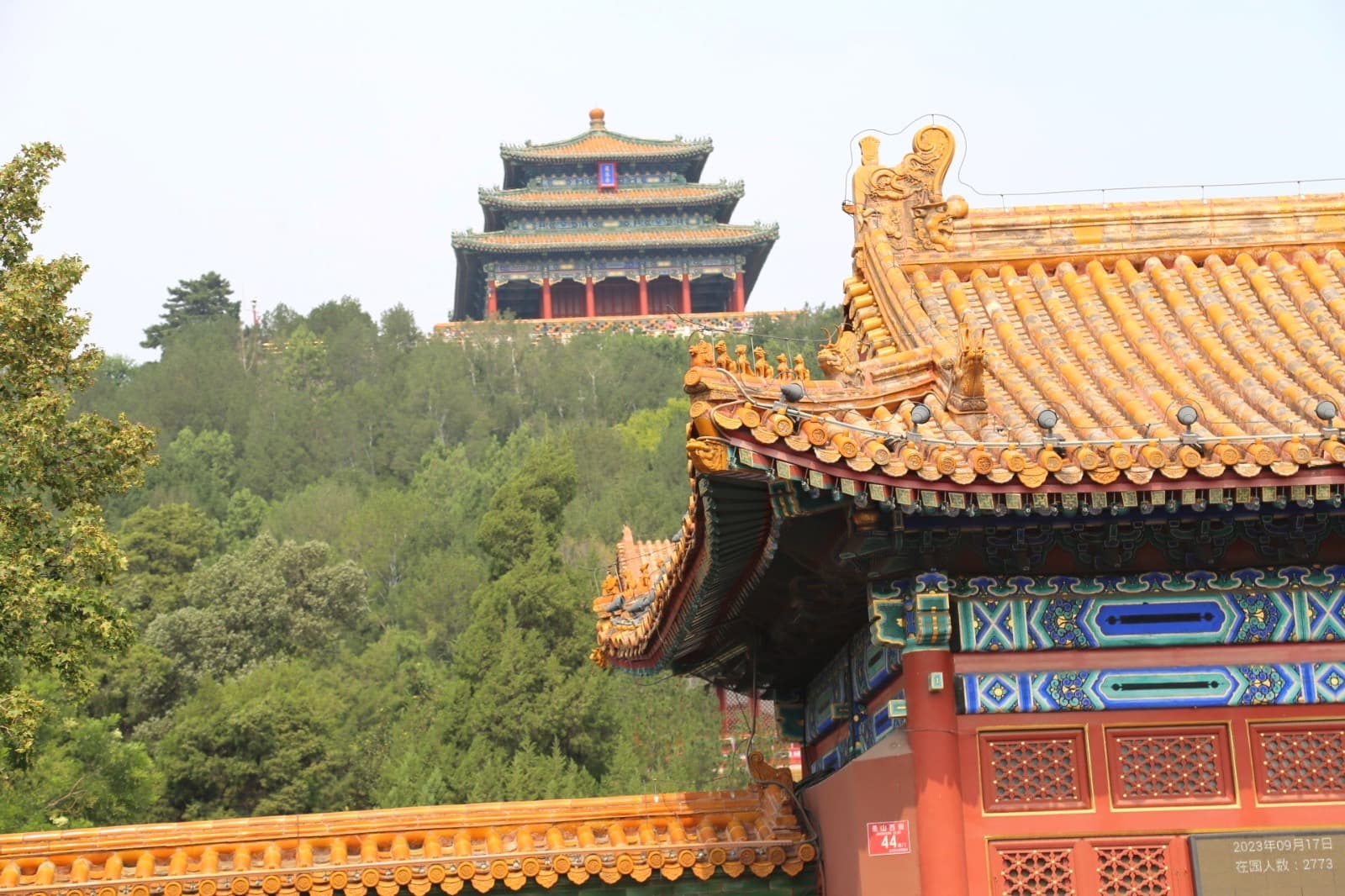 Peking